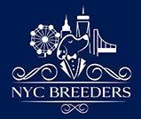 Nyc Breeders A Top Rated Brooklyn Pet Store Offers Puppies For Sale With Lifetime Complimentary Dog Training Menafn Com