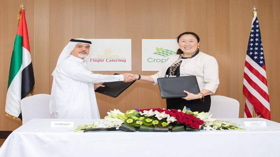 Emirates Flight Catering builds world's largest vertical farming facility in Dubai