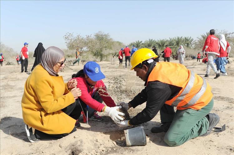 Volunteers briskly plant 5,000 small trees in Kuwait