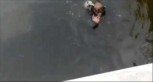 Video: Woman loses wedding ring in the sea    UAE civil defence diver finds it