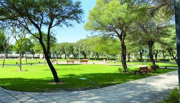 Qatar- Al Khor Park Reopens With Added Forest Ambience, Animals