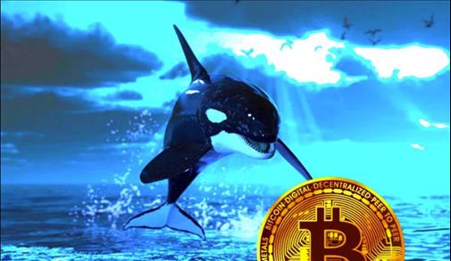 Bitcoin Whale Puts Crypto Traders on Alert, Warns 'Phantom Money' Pushing Price of BTC | Daily Outlook