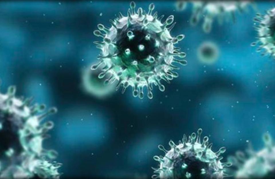 أخطر الفيروسات القاتلة التي صُنعت في المختبر | MENAFN.COM
