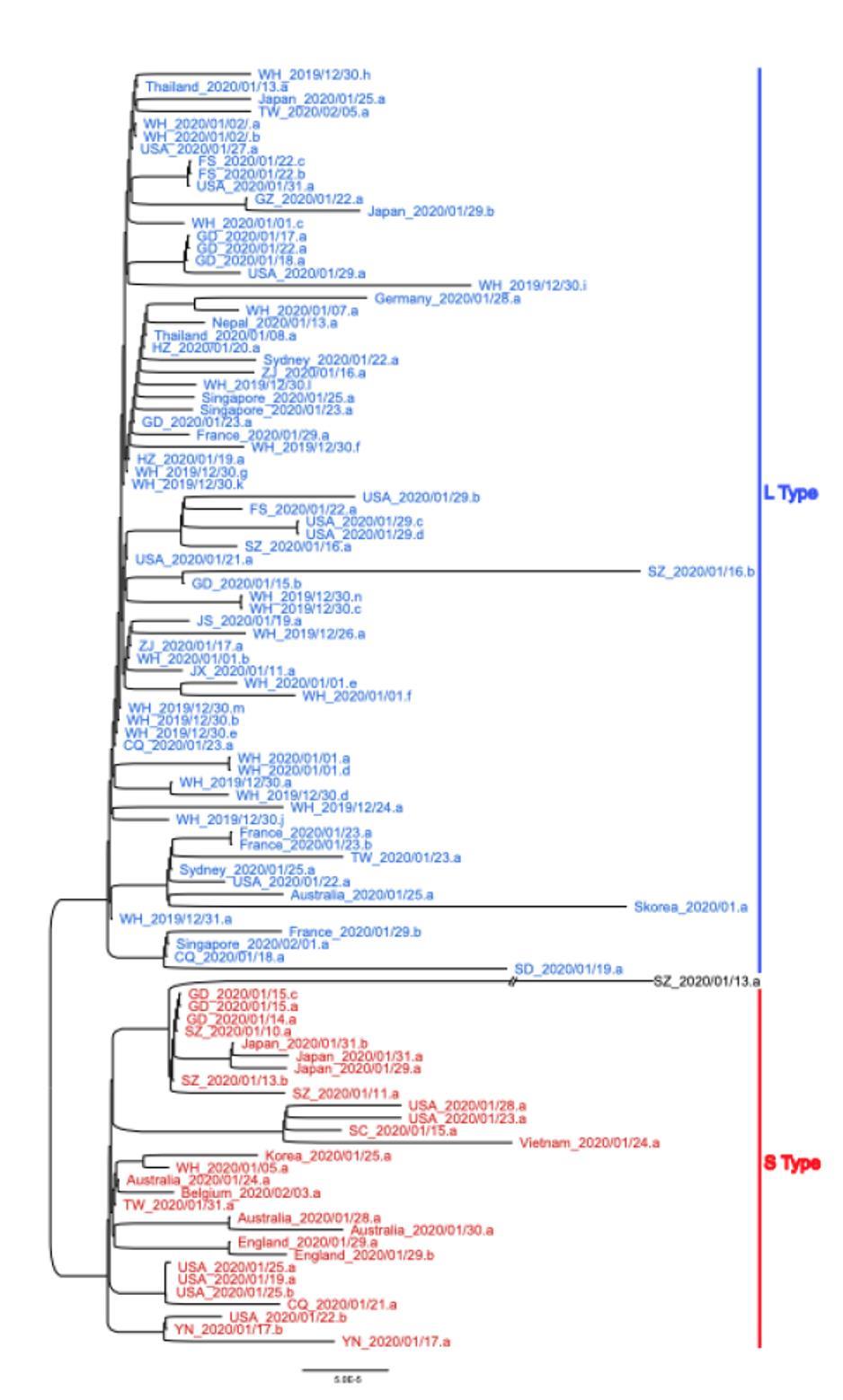 Mutation chartsindarin lessons near me