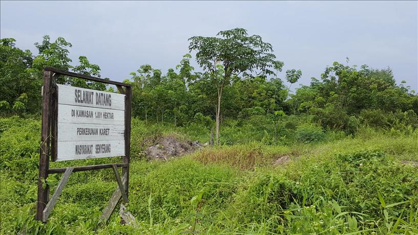 Land rights. Акция the Cocos Island Plantation Company.