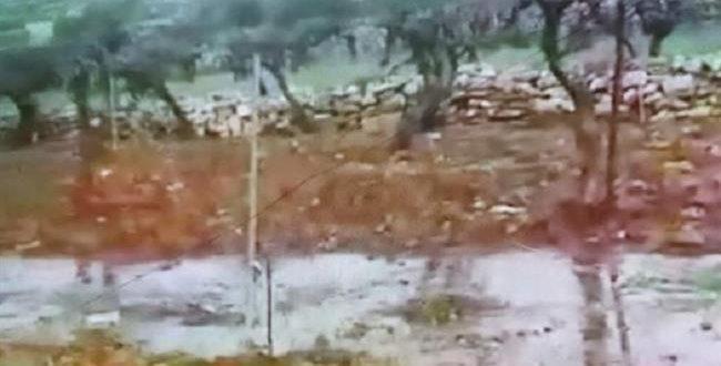Israeli settlers flood Palestinian vineyards with sewage in occupied West Bank