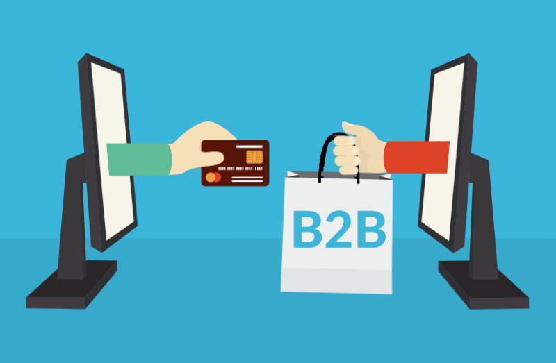 How to choose the best B2B eCommerce platform to scale and grow your  business? | MENAFN.COM