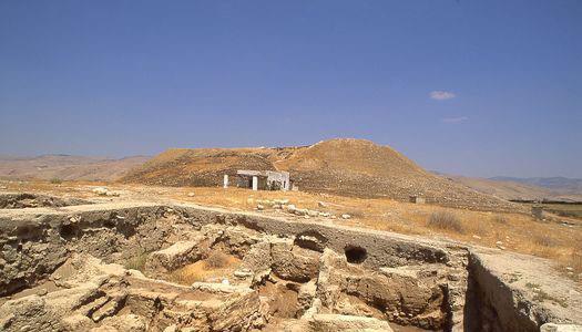 Jordanian scholar explores trade routes linking civilisations during antiquity