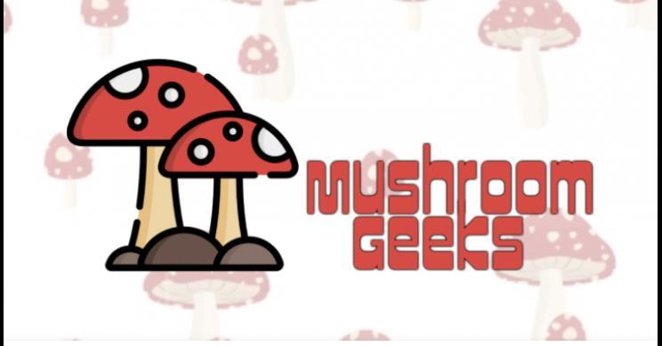 Health benefits of microdosing magic mushroom: how far Canada is from legalization