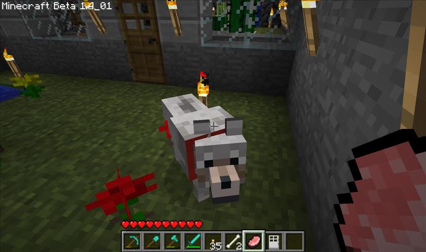 You Wouldn T Hit A Dog So Why Kill One In Minecraft Why Violence Against Virtual Animals Is An Ethical Issue Menafn Com