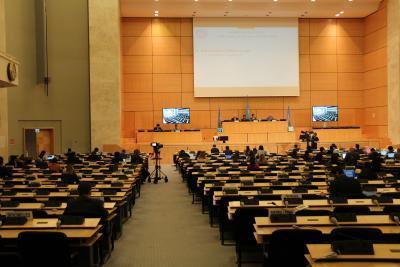 Uzbekistan marks UN Human Rights Council membership as historic feat