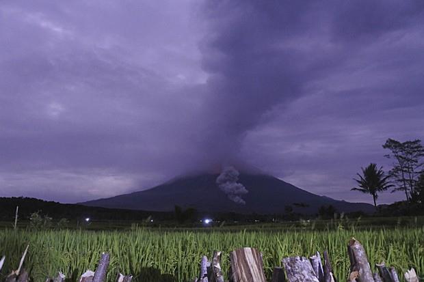 550 people flee from Semeru volcano eruption in Indonesia's East Java