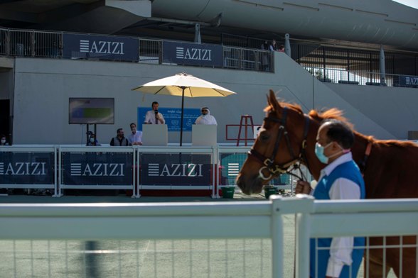 Azizi Developments sponsors Emirates Racing Authority’s Thoroughbred Sale in Meydan