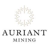 Chairman of the Board of Auriant Mining AB (publ.) Peter Daresbury sells shares in the Company Stockholm Stock Exchange:AUR