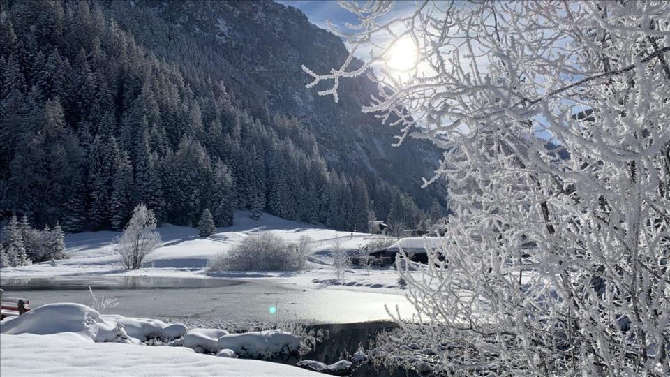 Schweiz – Exposition gegenüber den Alpen: Wie gut sind unsere Überlebenstaktiken?
