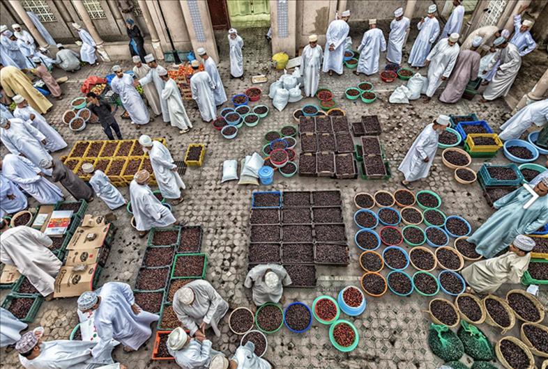 UAE- Winners of Khalifa International Award for Date Palm announced - Vimarsana News