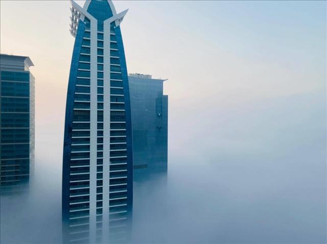 Weather: UAE wakes up to thick fog for 7th day straight - Vimarsana News