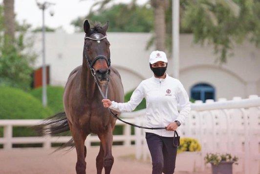 Qatar- Battle for Amir Sword begins today at QEF's Outdoor Arena - Vimarsana News