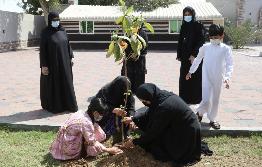 UAE- 3,000 seedlings distributed in Afforestation Week - Vimarsana News