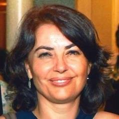 Aysin Dedekorkut-Howes - Vimarsana News