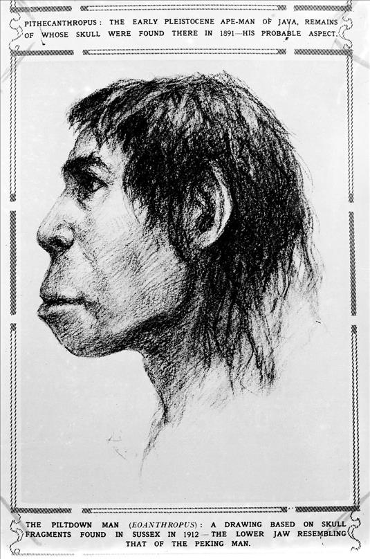 A new twist to whodunnit in science's famous Piltdown Man hoax