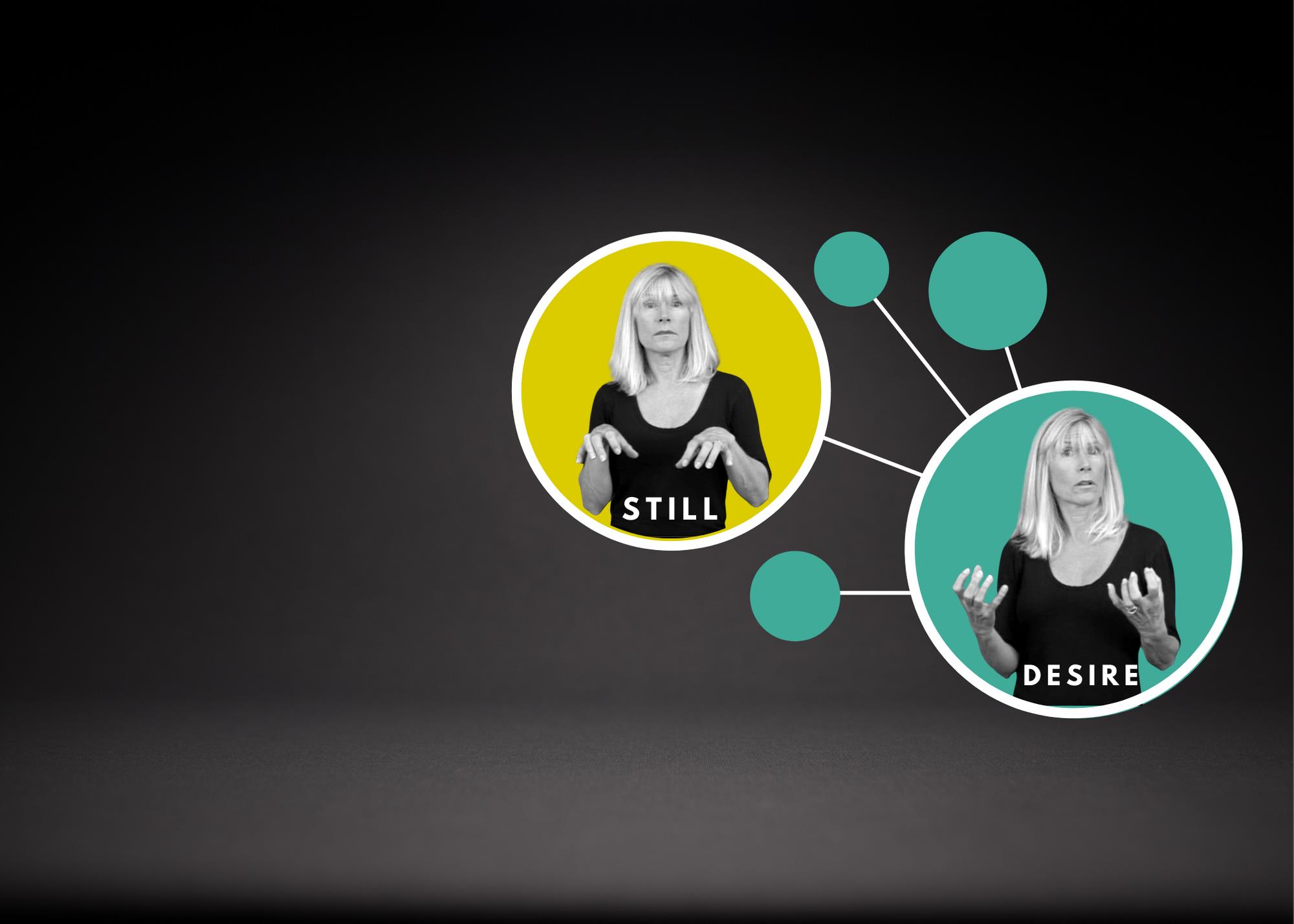 An interactive visual database for American Sign Language reveals how ...