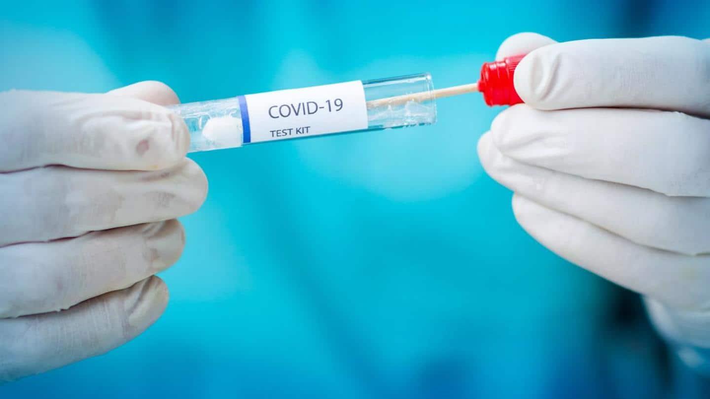 india-covid-19-what-leads-to-a-false-negative-rt-pcr-test-menafn-com