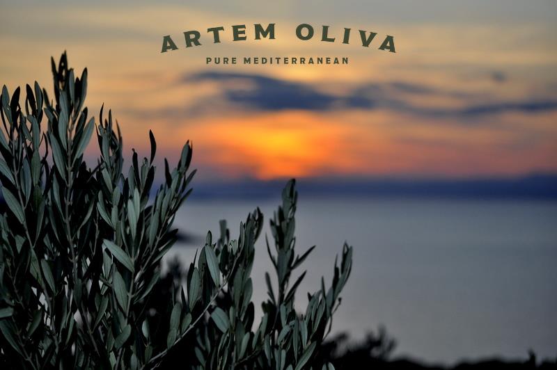 An Interview with the Managing Partners of Artem Oliva