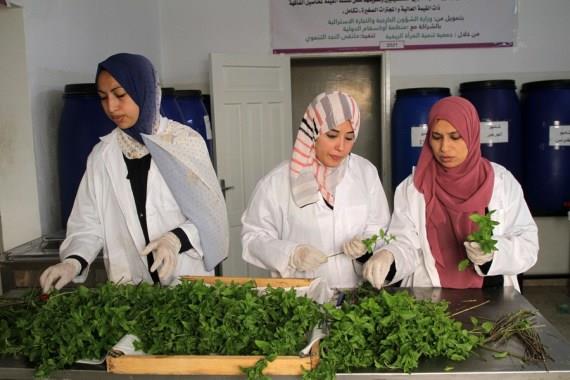 Gazan girls deliver plant-primarily based purely natural cosmetics