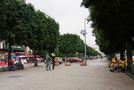 Tunis hit record 49C in heat wave on Tuesday