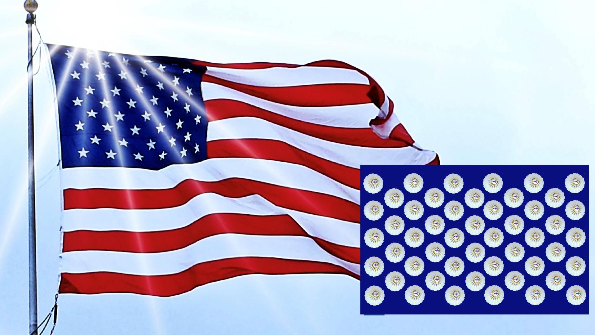 Durabird Feather Shuttlecocks Chosen For The 2021 US Eastern Collegiate Team Badminton Championships Durabird Feather Shuttlecocks Chosen For The 2021 US Eastern Collegiate Team Badminton Championships