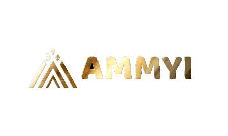 AMMYI Coin launches a decentralized ecosystem