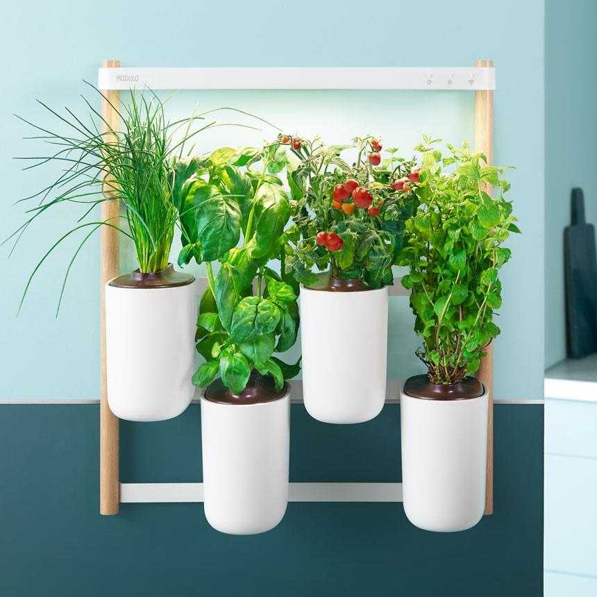 Prêt à Pousser brings sustainable & compact indoor kitchen gardens to Dubai making home growing accessible to everyone.