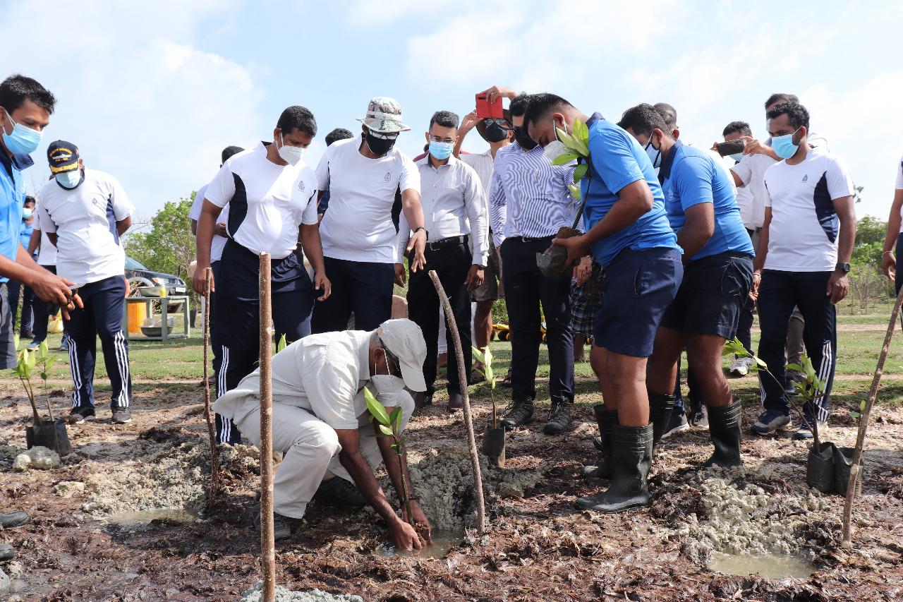 Tokyo Cement partners Sri Lanka Navy's Mangrove Conservation Project in Jaffna