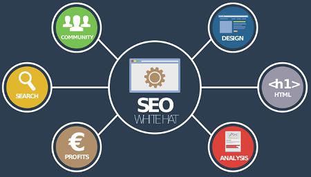 Top SEO Sydney Provides Tailored SEO Solutions for Every Bus…