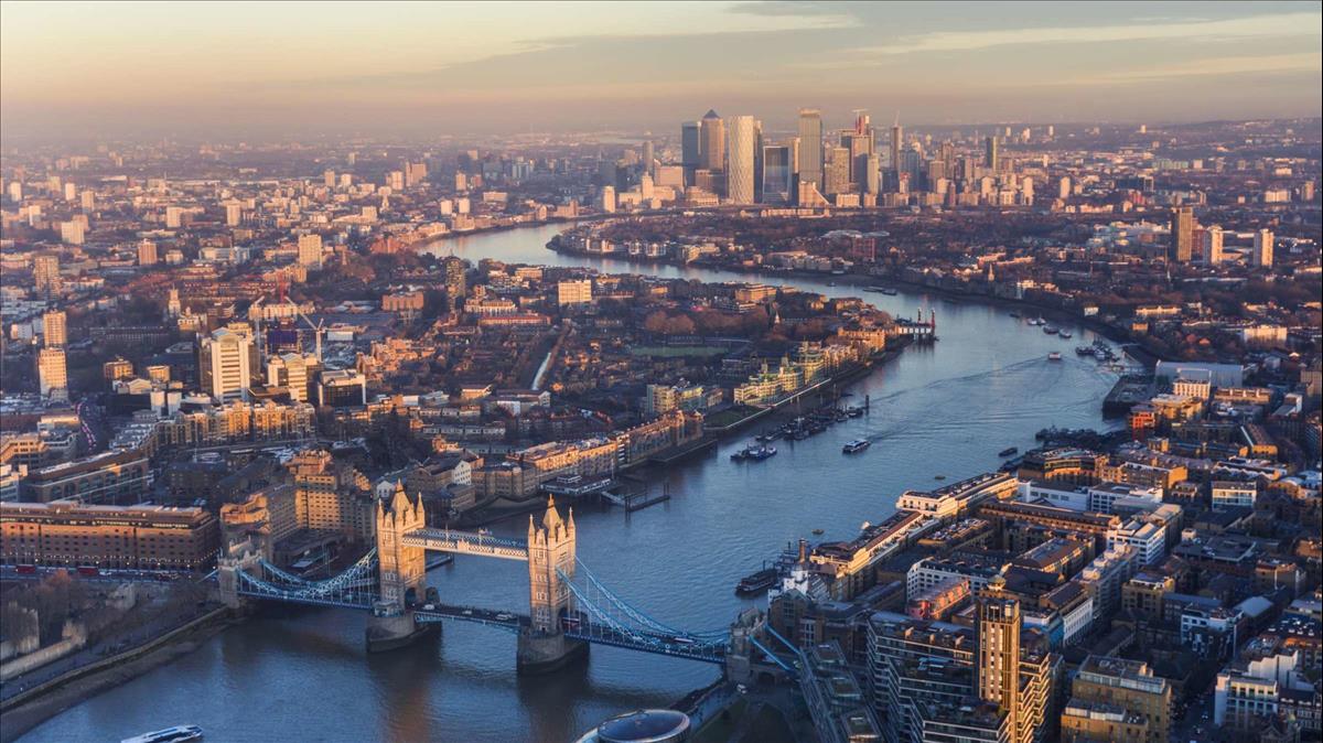 'Biologically dead' Thames river is now home to seahorses, sharks ...