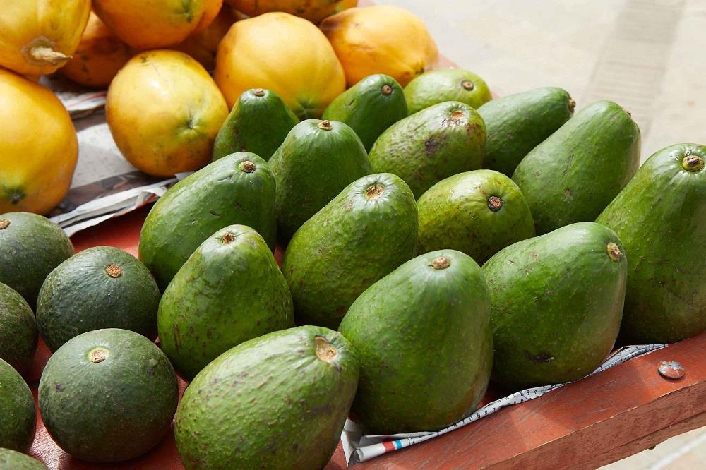 Colombia's export sales of imported fruits to the UAE totaled more than AED 12M during the first eight months of 2021