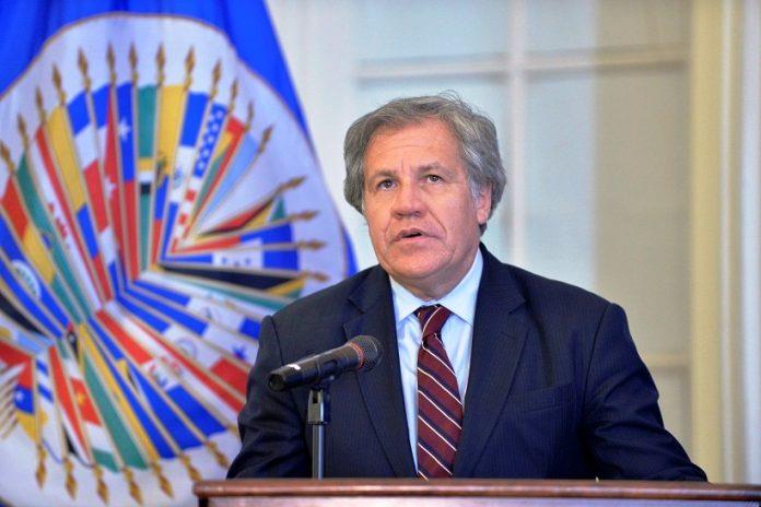 OAS  Peru signs joint declaration