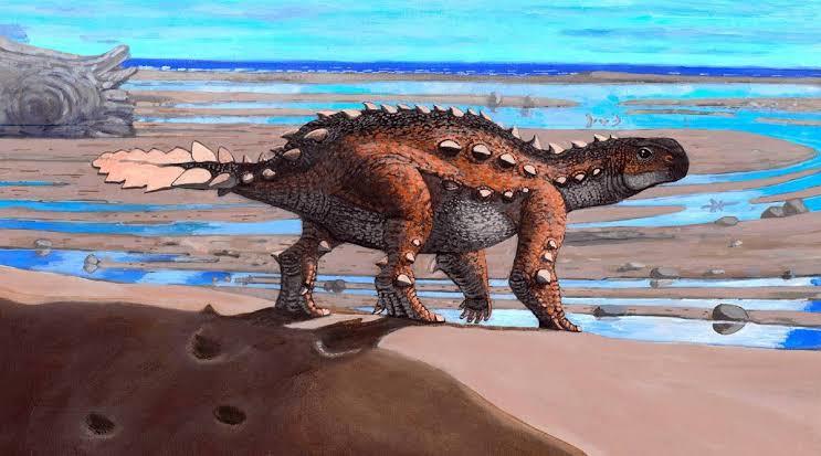 Scientists discover a dinosaur with a battle-axe for a tail
