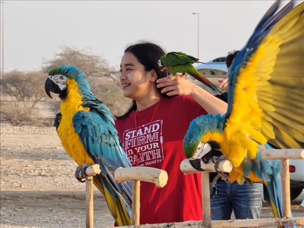 'Parrot Parents' in Qatar spread awareness on free flying companion birds