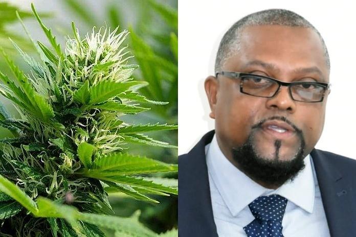 Barbados medicinal cannabis industry for all to participate, says agriculture minister Weir