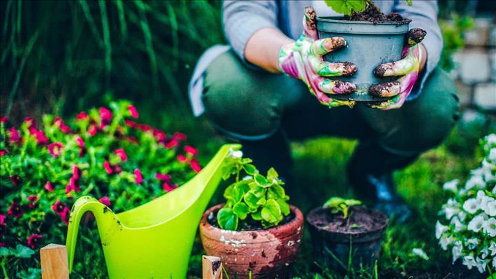 India - Not blessed with green fingers? Try these gardening hacks