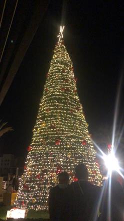 Saraya Aqaba celebrates Christmas season
