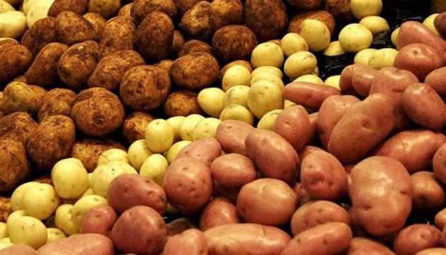 Ukraine negotiating potato export to EU
