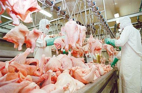 Poultry Exports From Brazil Up 9 In 2021 Menafncom