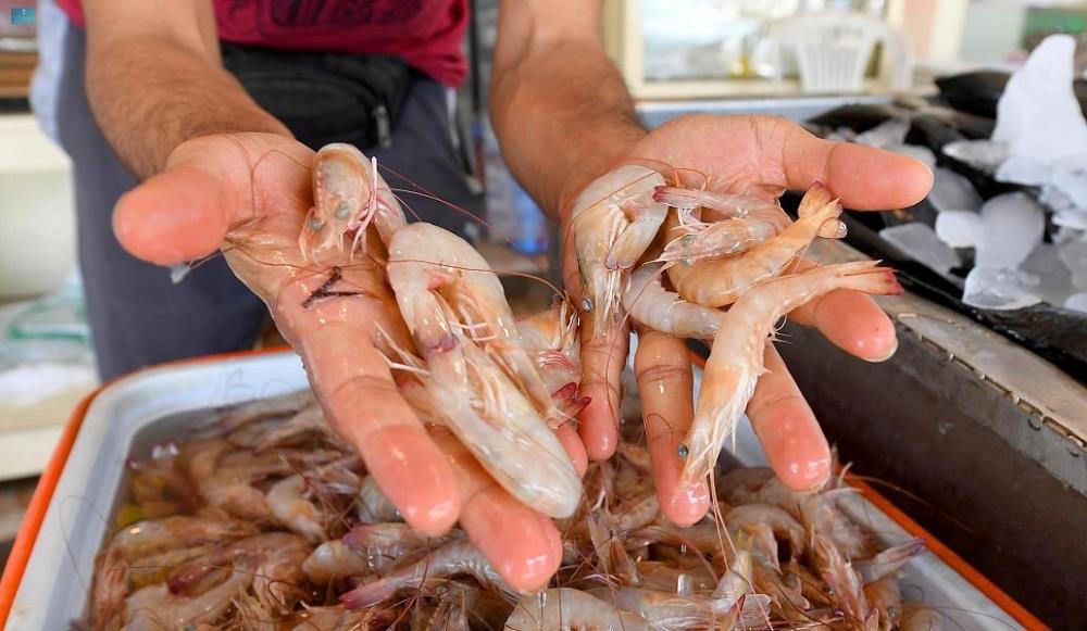 نقص في عمالة قطاع الصيد يتجاوز الـ55% من إجمالي العاملين #عاجل - جريدة الوطن السعودية