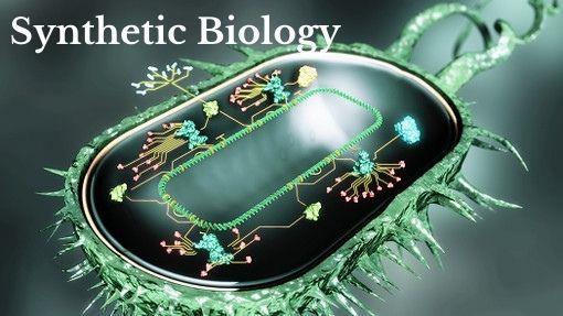 Synthetic Biology Market is expected to witness a CAGR of 33.9% by 2028 | Thermo Fisher Scientific Inc.