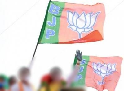  BJP seeks cadres' opinion for shortlisting candidates for Goa assembly polls 