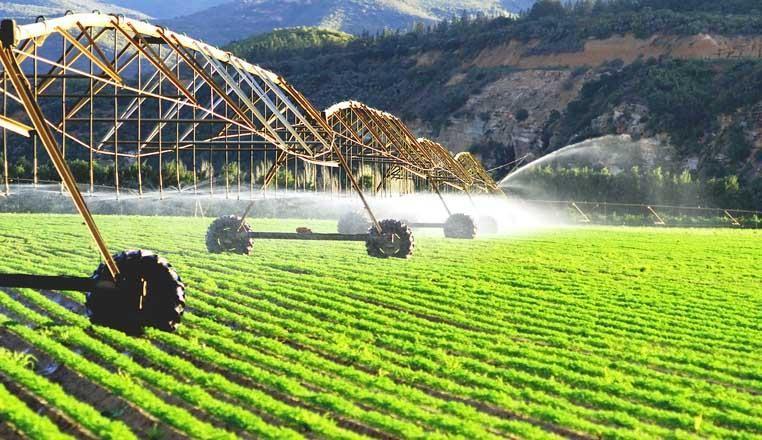 Azerbaijan's Agricultural Ministry names priorities for 2022