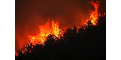 الكويت - بالفيديو حريق غابات بالأرجنتين مستمر منذ شهر ودمر 6 آلاف هكتار' 